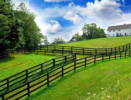 Farm and Agricultural Fence